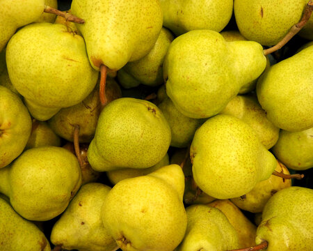 lots of yellow pears. top view