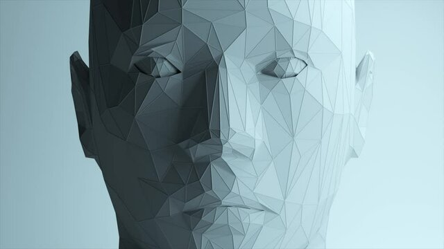 Creates a polygonal digital human face. Increase polygons and quality. Seamless loop 3d animation