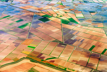 Aerial view of agricultural crops of wheat, olives and orange, on the outskirts of Thessalonica, it is the capital of the Macedonia, located on the Thermaic Gulf, Greece, June 2014