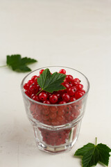 Red currant in a glass on light background