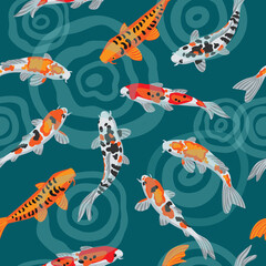 Illustration of koi fish Japanese carp. Seamless vector background. Colorful goldfish are swimming in the pond, there are circles on the surface of the water. Asian carp are white and orange in color