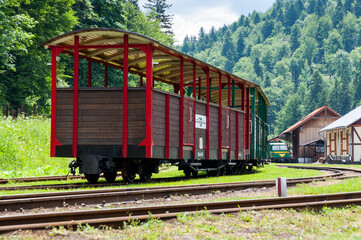 Fototapeta na wymiar Narrow-gauge railway in Majdan, narrow-gauge railway, Bieszczady Mountains, Cisna