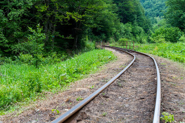 Obraz premium Narrow-gauge railway in Majdan, narrow-gauge railway, Bieszczady Mountains, Cisna