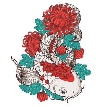Koi carp and chrysanthemum flowers. Vector illustration. Tattoo print. Hand drawn illustration for t-shirt print, fabric and other uses.
