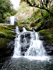 Naturaleza de la Sierra Gaucha
