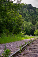 Obraz premium Railway with a background of green trees and a clear sky