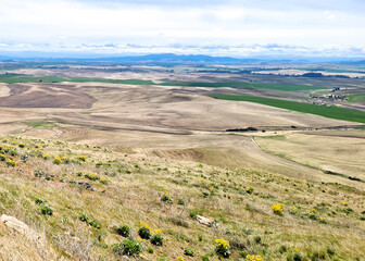 Early Spring on the Palouse