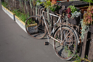 Fototapeta premium Old bike at the fence of the veranda of the summer cafe
