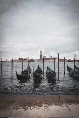 some Venice gondolas are attached to the shore