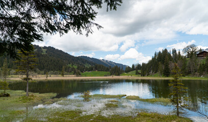 Fototapeta na wymiar Lauenensee - Lauenen lake in the Swiss alps in spring with beautiful flowers around
