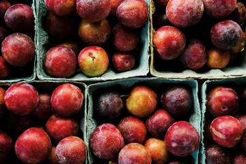 Plums Farmers Market
