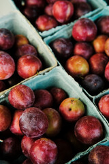 Plums Farmers Market