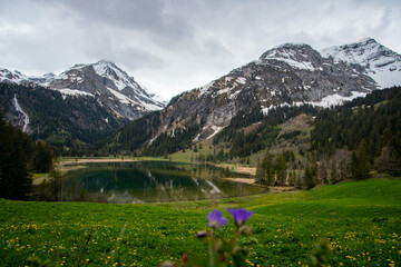 Lauenensee - Lauenen lake in the Swiss alps in spring with beautiful flowers around