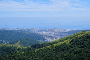 Obraz premium view through a leaf arc of the Diamante Fort
