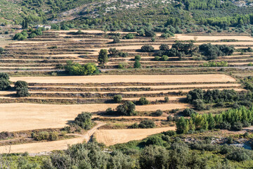 Fototapeta na wymiar Landscape of some terraces with recently mowed wheat fields