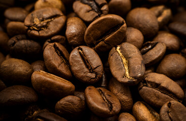 Coffee grains of different varieties close-up. Coffee