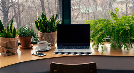 Office desk with green plants and laptop with mock up in vintage style. Workspace with window in...