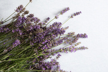 lavender bouquet on light gray background, natural aromatherapy