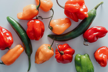 Variety of hot peppers on light blue background