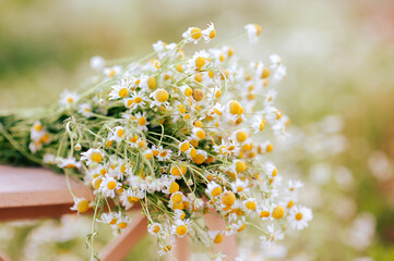 a bouquet of daisies on a wooden chair in a field of daisies