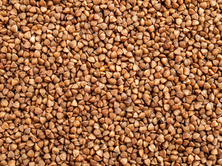 Background of buckwheat groats close-up, grain macro, food