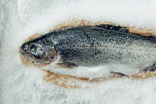 Rainbow trout and kosher salt