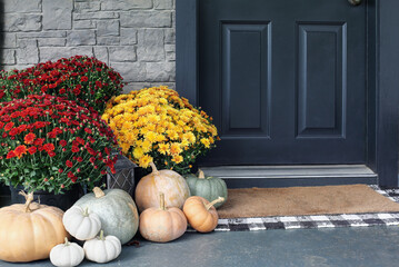Heirloom white, orange and grey pumpkins with colorful mums sitting by front door. - obrazy, fototapety, plakaty