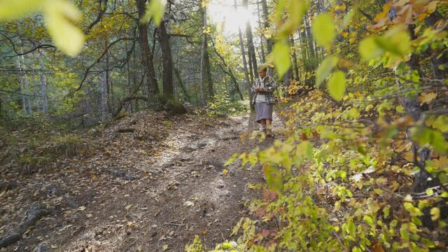 Plump woman hiker in warm checkered shirt and skirt takes picture of nature with camera walking along sunny forest path on nice autumn day wide angle view