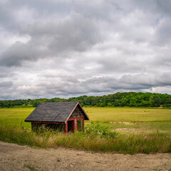 Obraz premium Weathered farm shed in the wooded green field next to a dirt road.