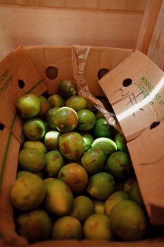 Limes inside of a produce box