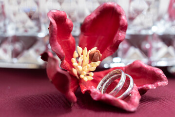 wedding rings on a red flower