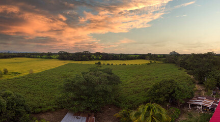 colombian landscape in the plains of granada meta, cultivation of corn and rice, at sunset - obrazy, fototapety, plakaty
