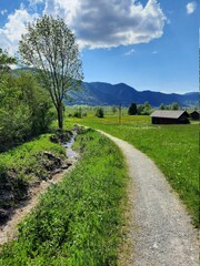 Bavaria -This is The Way- Collection 