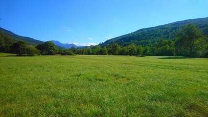 Fototapeta premium Pradera en un valle