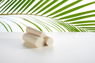 Palm in natura on white background with palm leaf in background