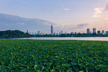 Nanjing City at Sunset in Summer