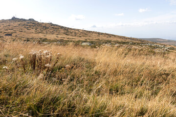 Amazing Autumn Landscape Vitosha Mountain, Bulgaria