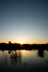 Fototapeta premium 美しい夕空を映す池の水面 