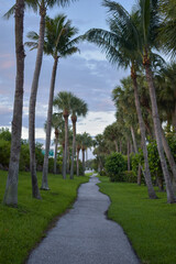 Fototapeta premium palm trees on the beach