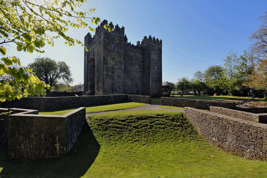 Beautiful shot of the Bunratty Castle in Bunratty, Ireland, surrounded by trees and grass