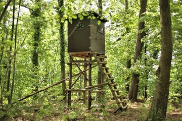 Hunter high seat in the forest