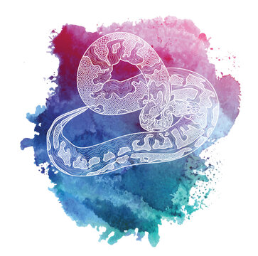 Royal python snake.  Meditative coloring of antistress. Arrows, strips, scales, lines. Logo, print on the T-shirt. Children's painting, drawing by hand. 