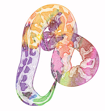 Royal python snake.  Meditative coloring of antistress. Arrows, strips, scales, lines. Logo, print on the T-shirt. Children's painting, drawing by hand. 