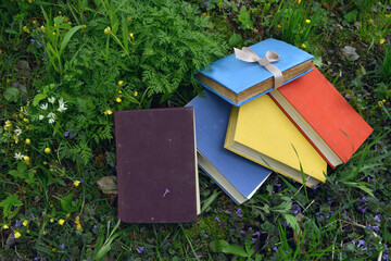 Still life with colorful books laying on green grass lawn outside
