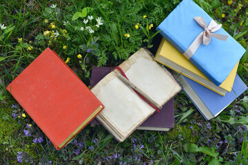 Open diary with empty pages and colorful books laying on green grass lawn outside