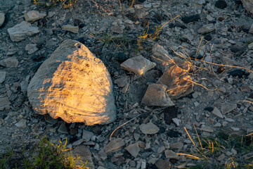 Roca sobre fondo de tierra