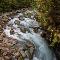 Rapid Nooksack river at Mount Baker in Washington state during Spring.