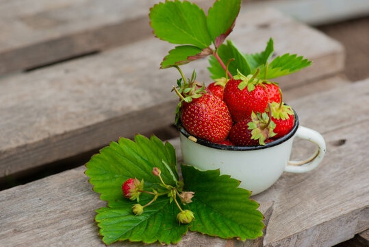 on a wooden background red strawberries in a cup