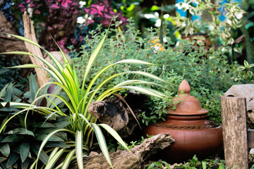 traditional Clay pot in garden with flower