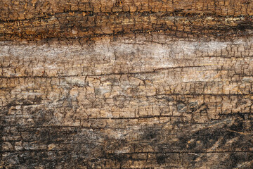 old decay wood background